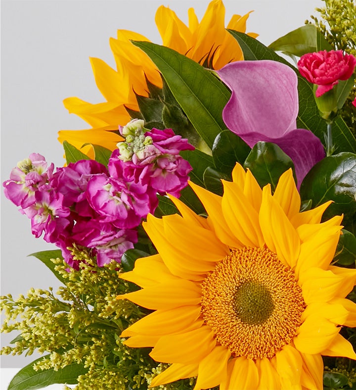 Tropical Bloom by Jason Wu for Wild Beauty