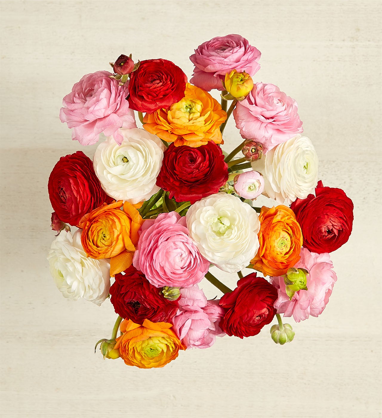 Radiant Ranunculus Bouquet