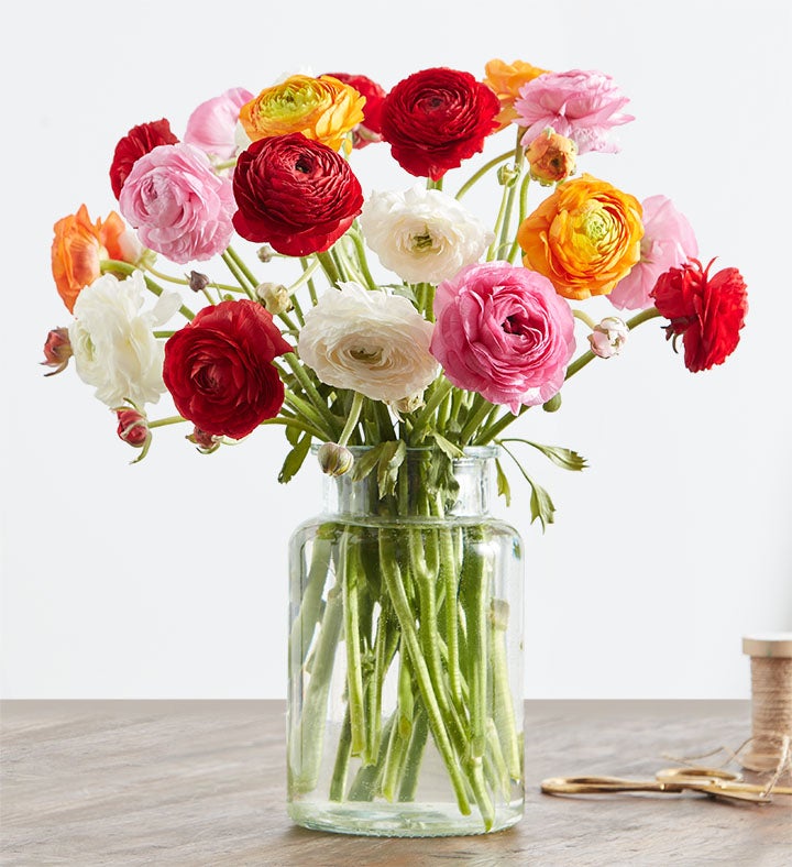 Radiant Ranunculus Bouquet