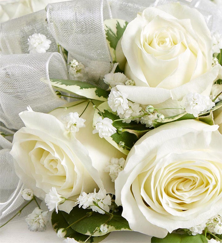 White Spray Rose Corsage