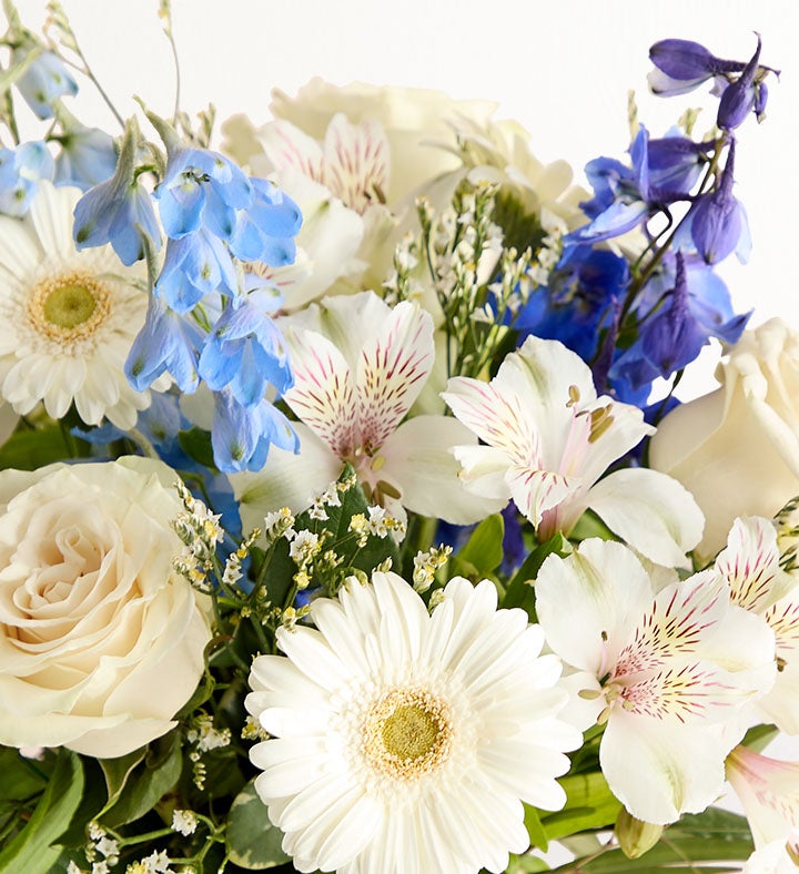 To only  Treasured Memories ™ Blue and White | 1800Flowers.com