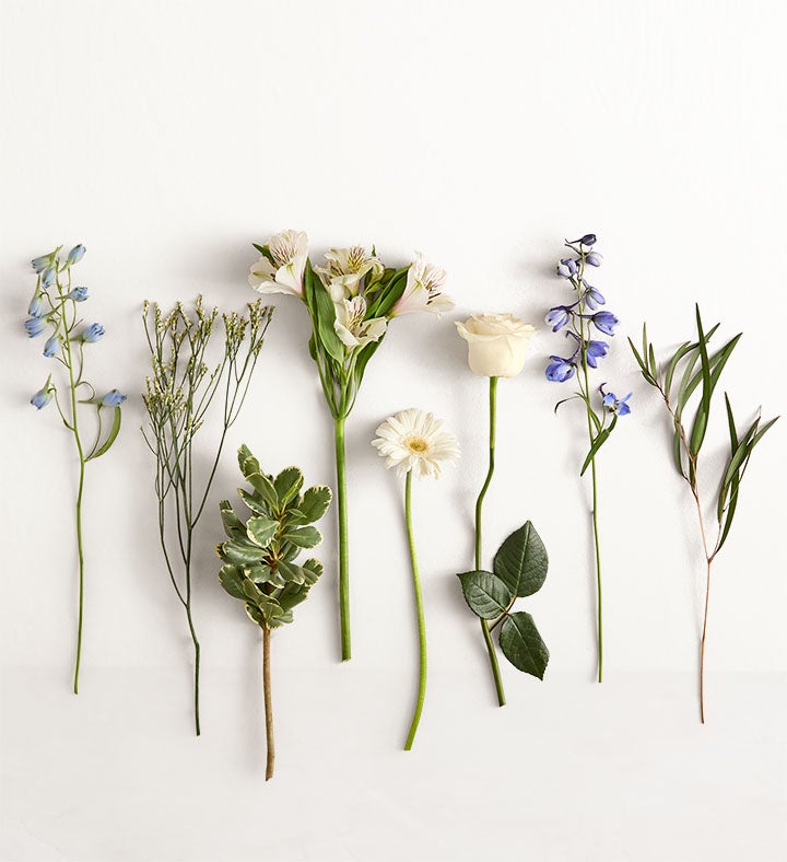 Treasured Memories ™ Blue and White | 1800Flowers.com