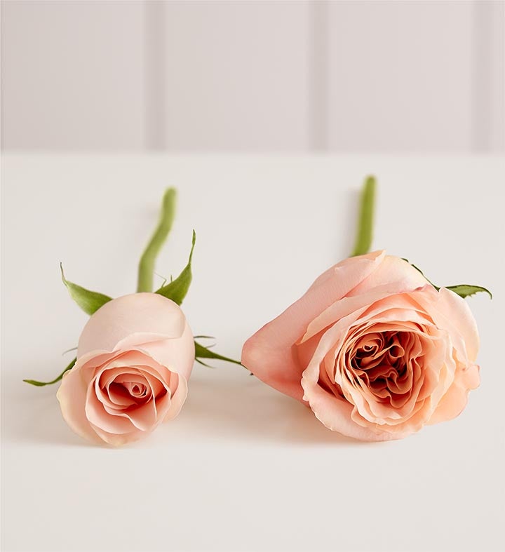 Peach Blossom Garden Rose Bouquet