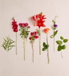 Modern Radiance™ Bouquet