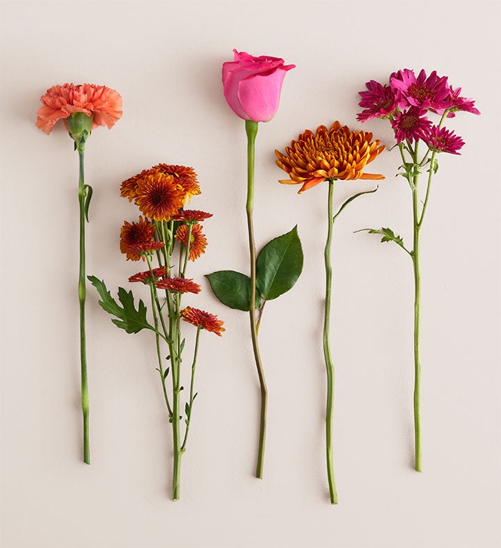 Bouquet of the Month: Sunset Harvest™