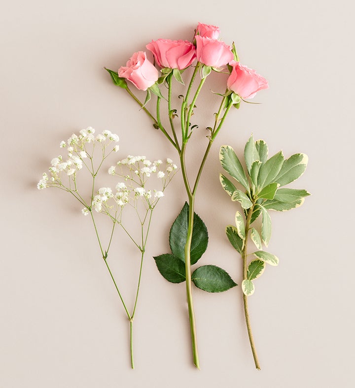 Pink Spray Rose Corsage