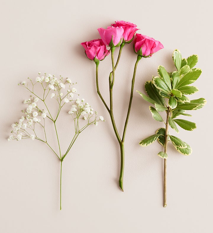 Hot Pink Spray Rose Corsage | 1800Flowers.com