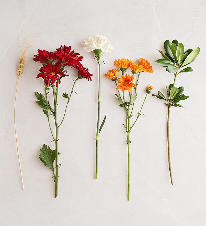 xmw∗∗∗∗∗∗∗∗1 a-DOG-able® for Fall | 1800Flowers.com