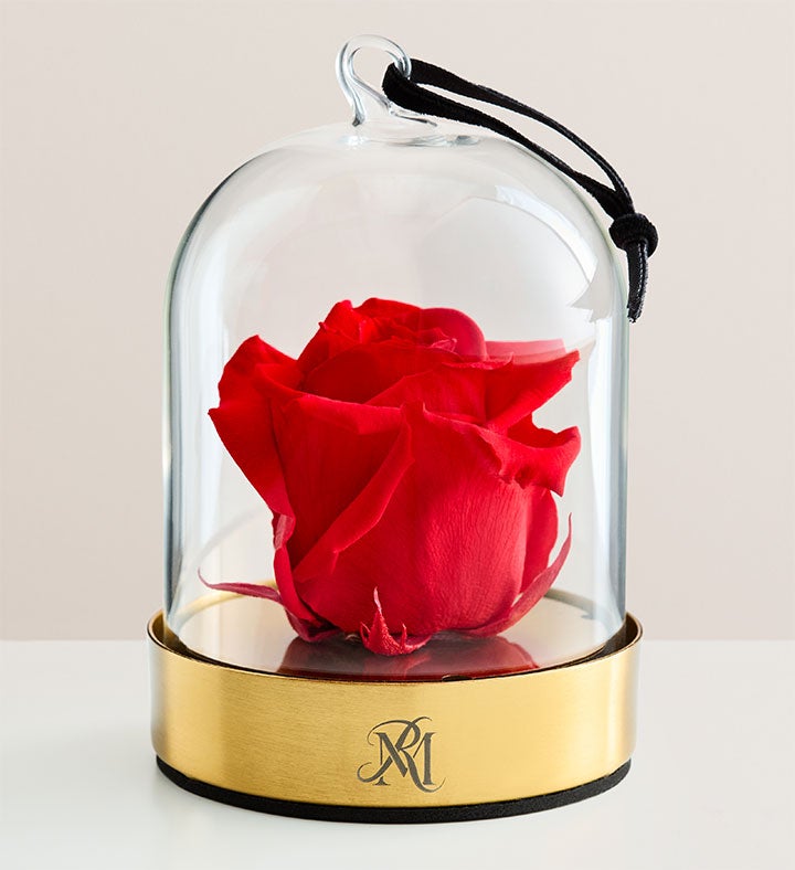 Enchanted Beauty Mini Cloche by Magnificent Roses®