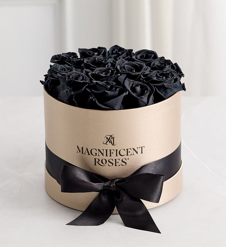 Magnificent Roses® Preserved Black Roses