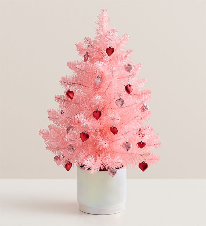 Valentine’s Tree of Love