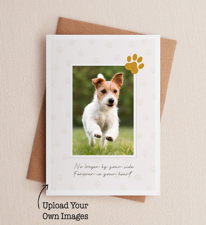 Pet Sympathy Photo Card Symathy Greeting Card