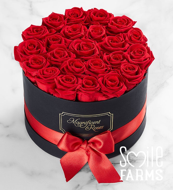 Magnificent Roses® Preserved Red Roses