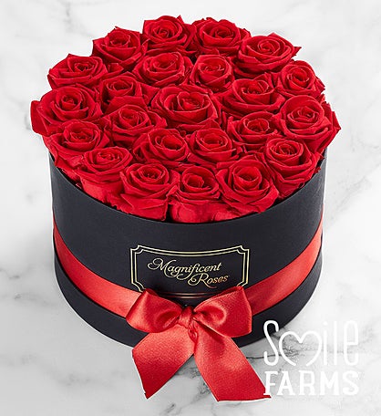 Magnificent Roses® Preserved Red Roses