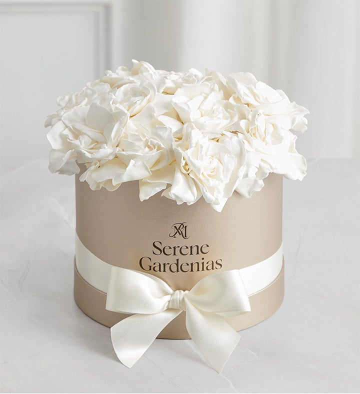 Preserved Serene Gardenias by Magnificent Roses®