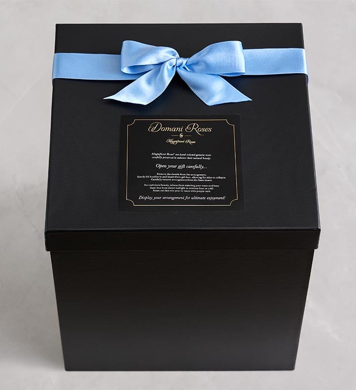 Magnificent Roses® Preserved Domani Blue Hydrangea