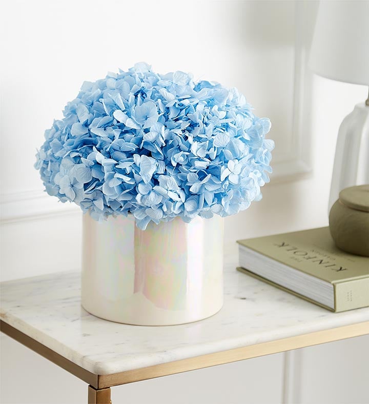 Magnificent Roses® Preserved Domani Blue Hydrangea