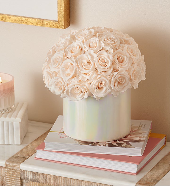 Magnificent Roses® Preserved Domani Blush Iridescent