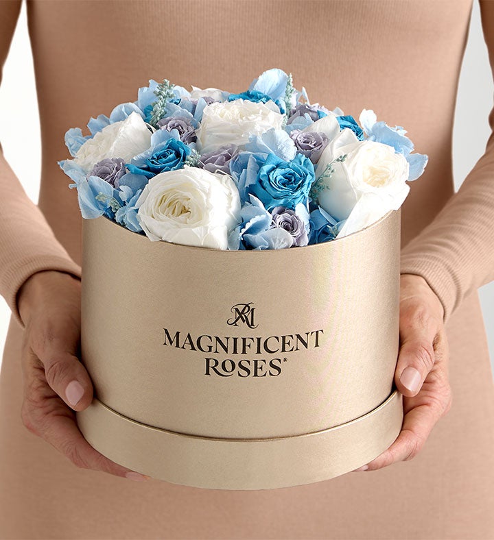 Magnificent Roses® Preserved Coastal Summer | 1800Flowers