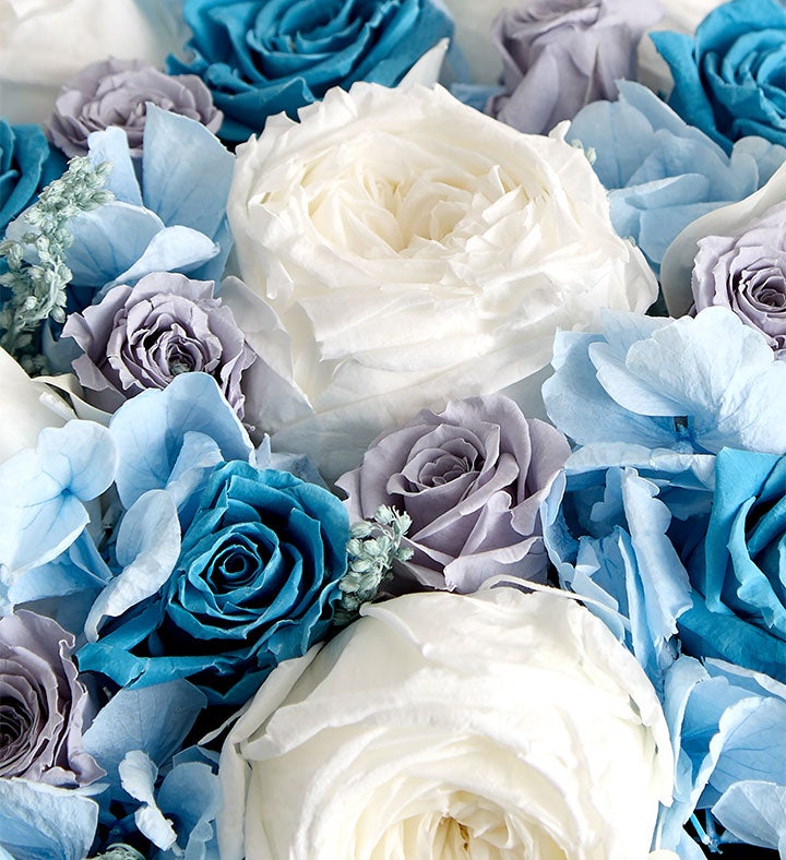 Magnificent Roses® Preserved Coastal Summer | 1800Flowers