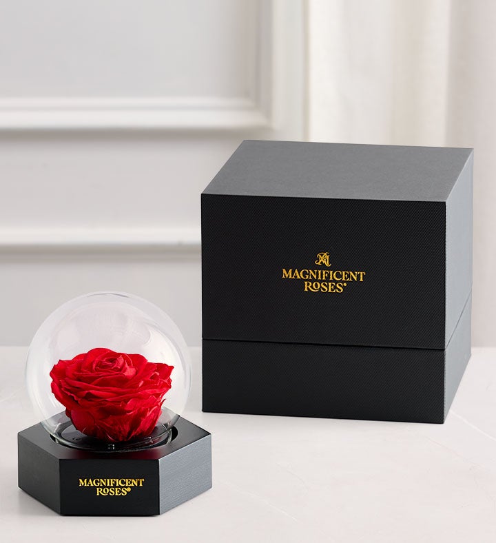 Magnificent Roses® Preserved Illuminating Globe