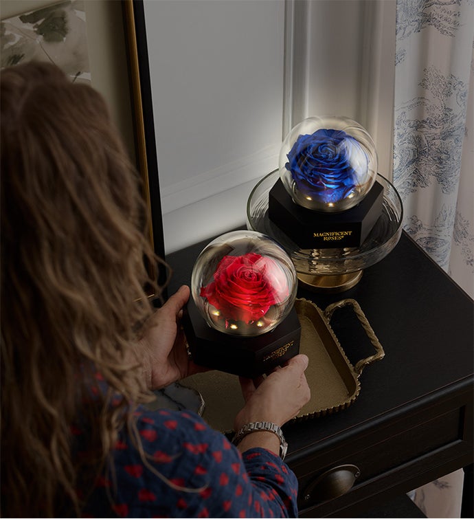 Magnificent Roses® Preserved Illuminating Rose