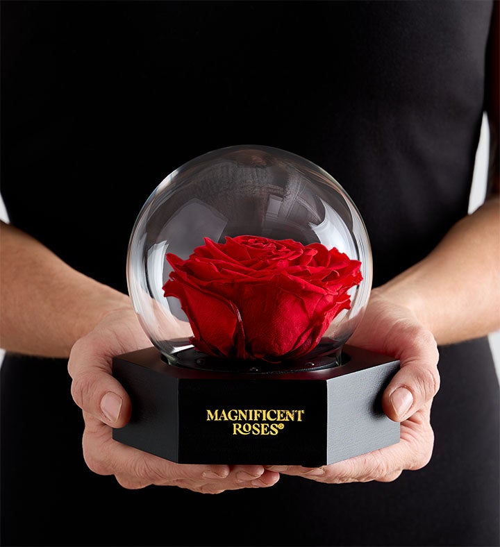 Magnificent Roses® Preserved Illuminating Globe