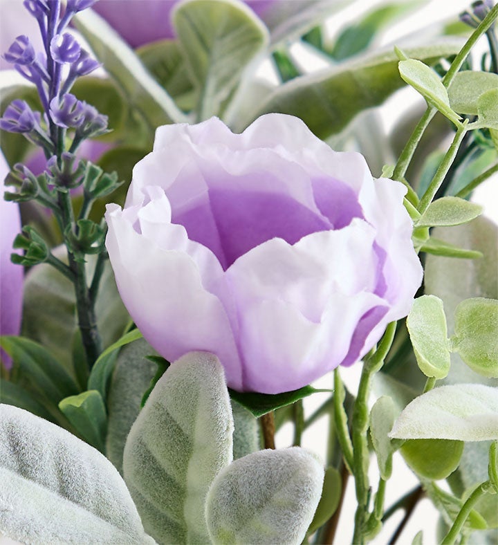 Tulip Tranquility Décor