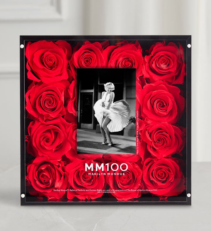 Marilyn Monroe™ Icon Magnificent Roses®