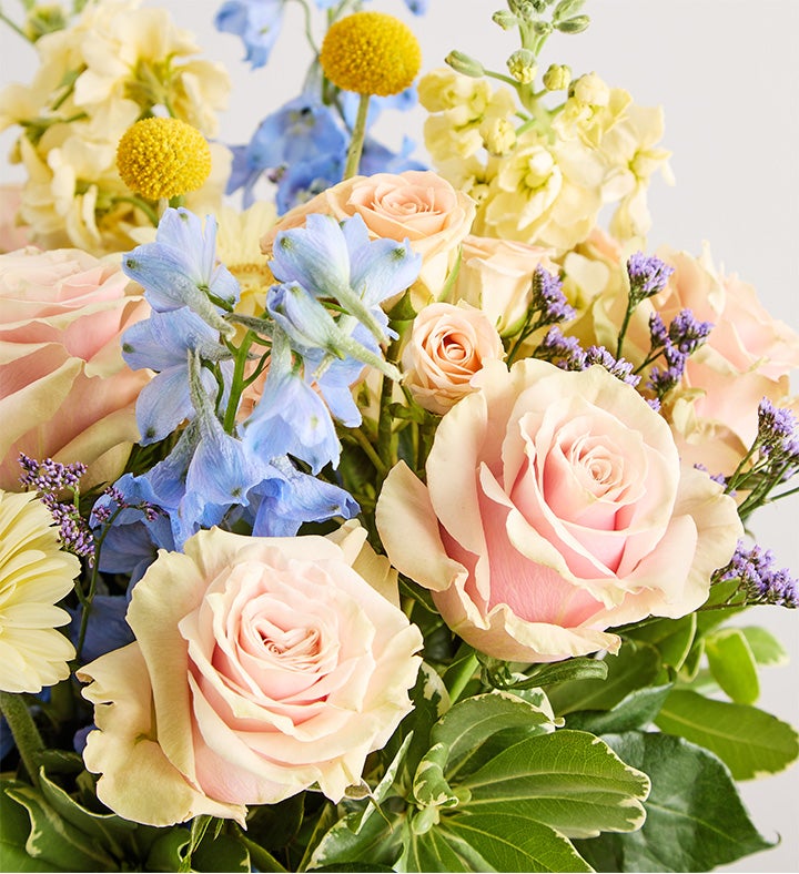 Daphne's Bliss™ | 1800Flowers