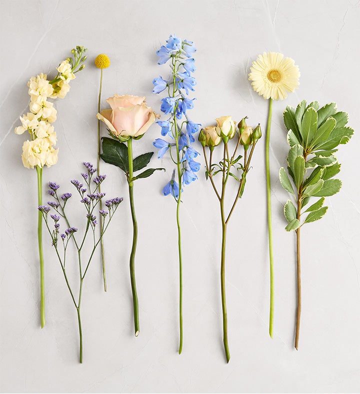 Daphne's Bliss™ | 1800Flowers
