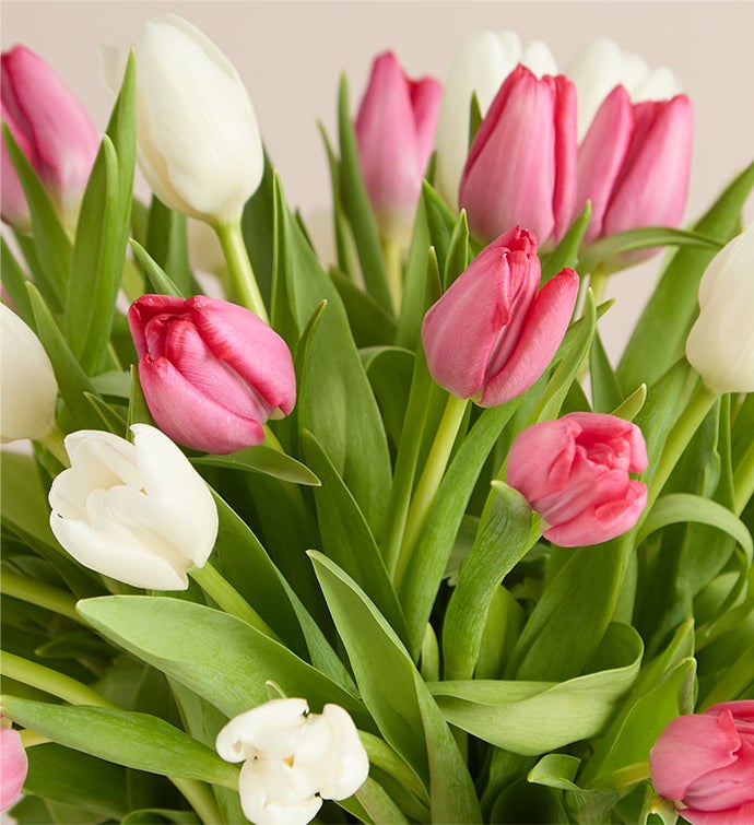 Kittenish Mother’s Day Delight