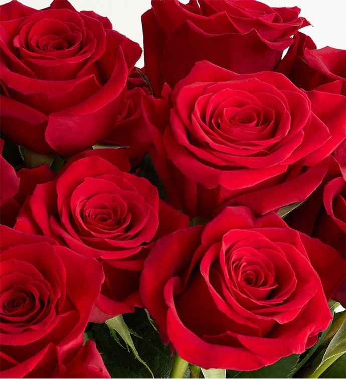 Signed with Love Red Roses