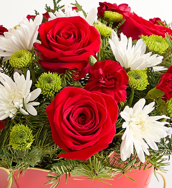 Dashing Through the Snow Sleigh™