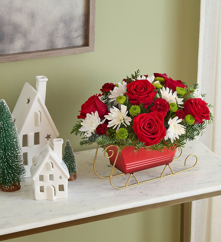 Dashing Through the Snow Sleigh™