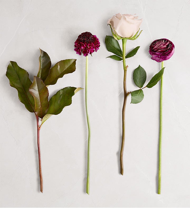 Burgundy Blush™ Bouquet