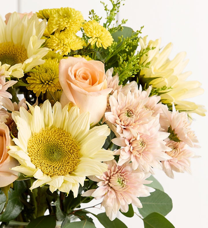 kasimo　a3本 800 Sunflower Radiance Bouquet™ | 1800Flowers