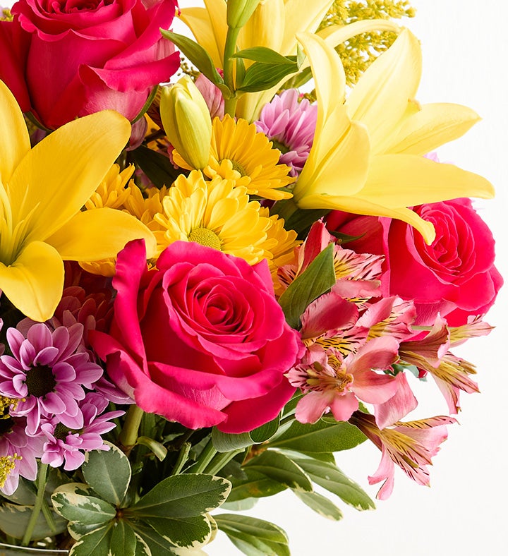 Fields of Europe® Spring | 1800Flowers