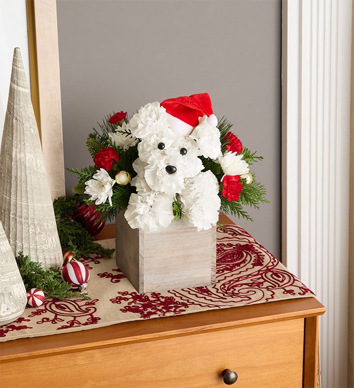 Santa Paws®
