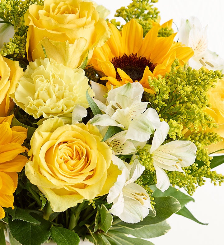 Honey Bee Buzz™ for Summer | 1800Flowers