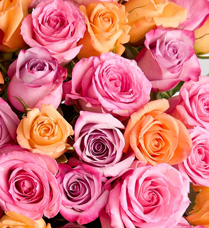 ╰(*´ゆ`*)╯ Spectacular Sorbet Roses™ | 1800Flowers