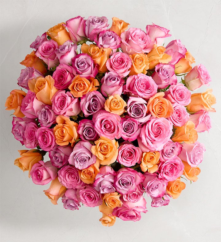 Spectacular Sorbet Roses™