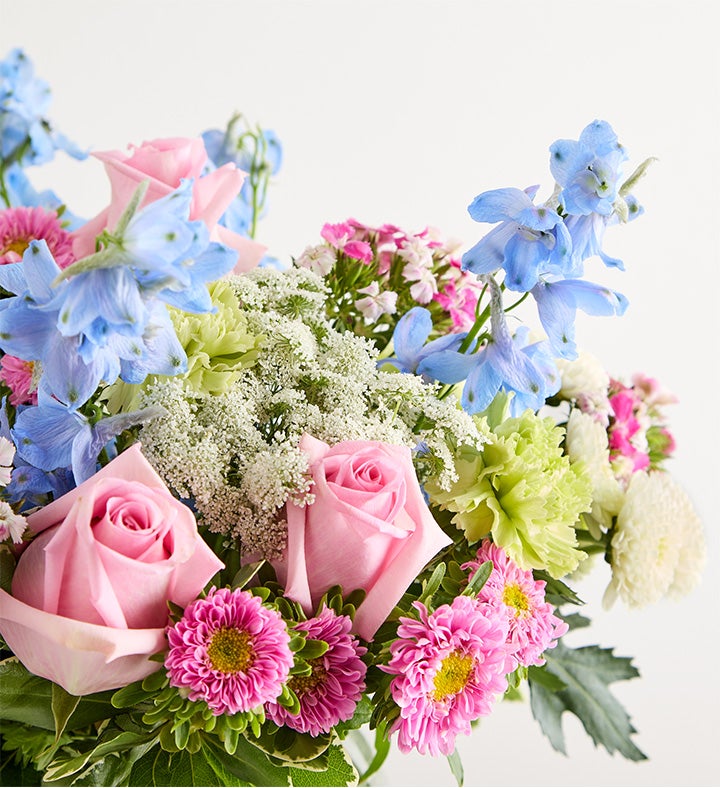 Delphinium Garden™ | 1800Flowers