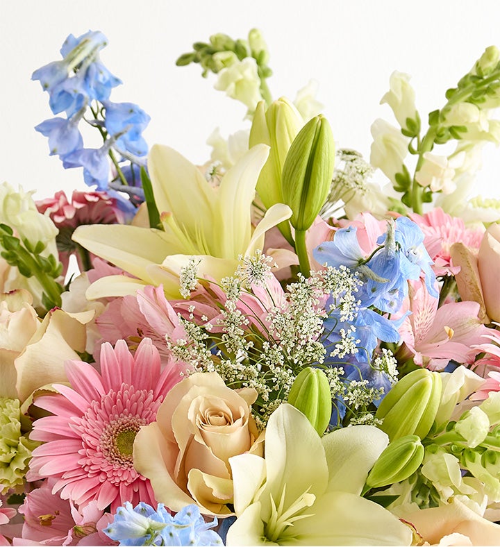 Delphinium Meadow™ | 1800Flowers