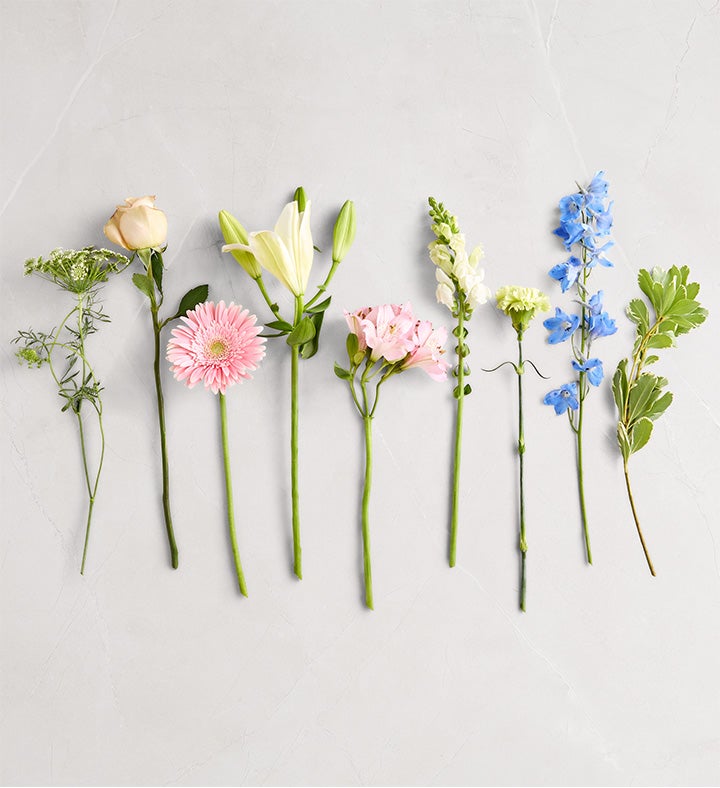 Delphinium Meadow™ | 1800Flowers