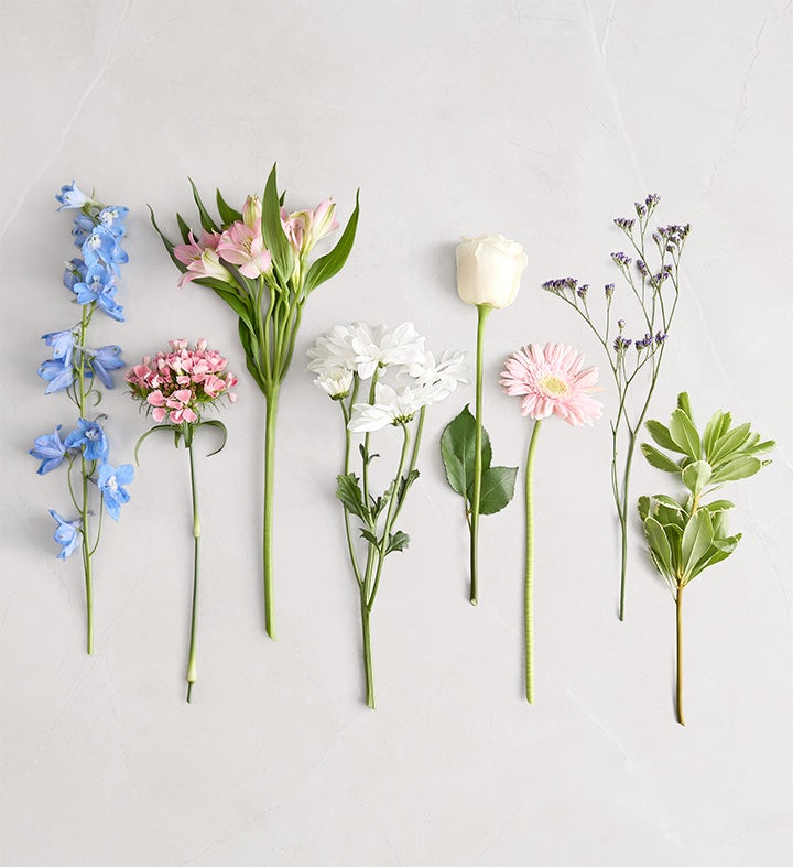 Watercolor Skies™ Delphinium Bouquet | 1800Flowers