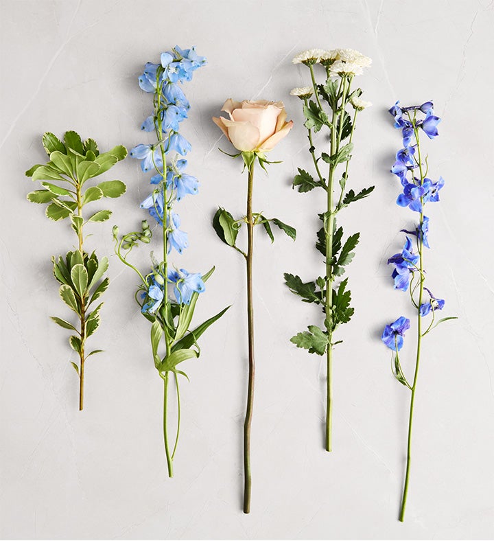 Honey Bee Buzz™ Delphinium Bouquet | 1800Flowers
