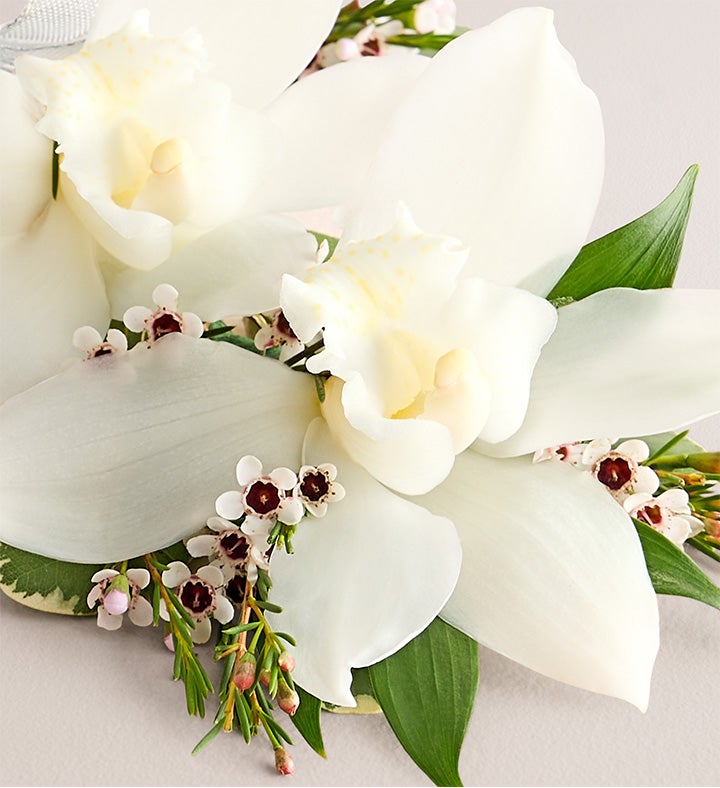 White Cymbidium Orchid Corsage And Boutonniere