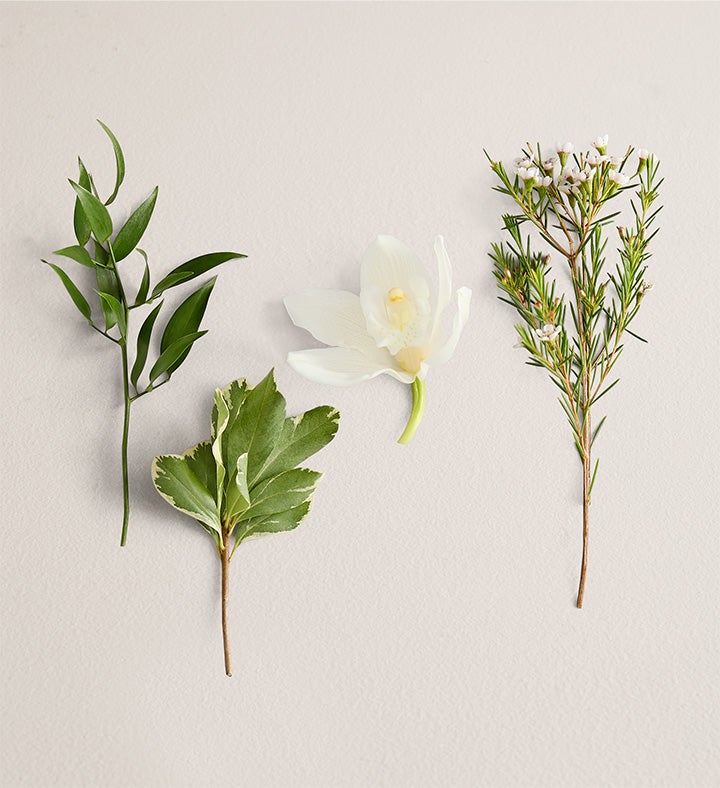 White Cymbidium Orchid Corsage And Boutonniere