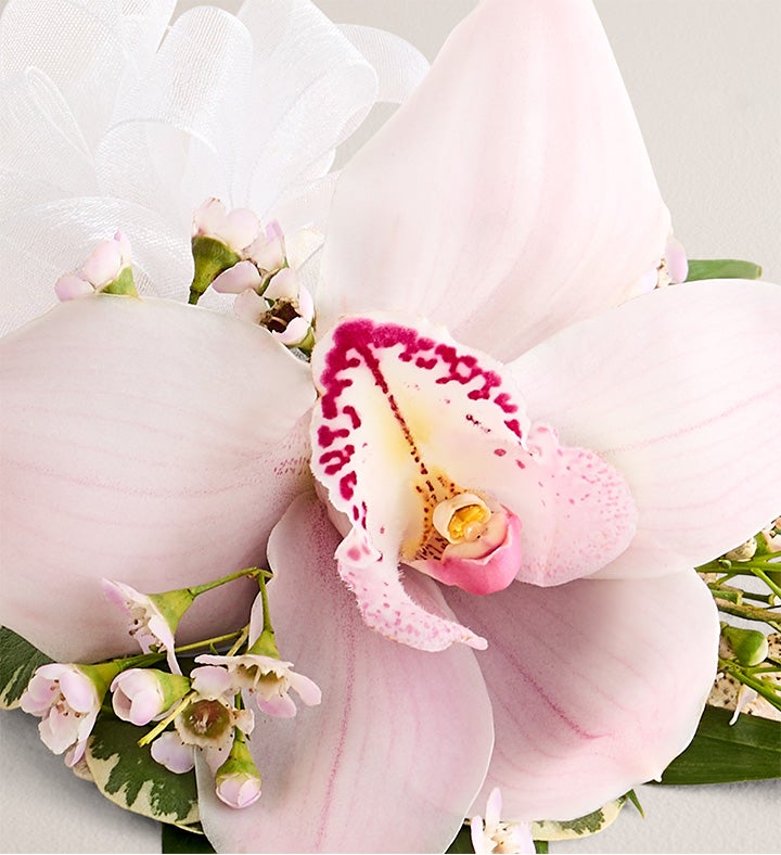 Pink Cymbidium Orchid Corsage